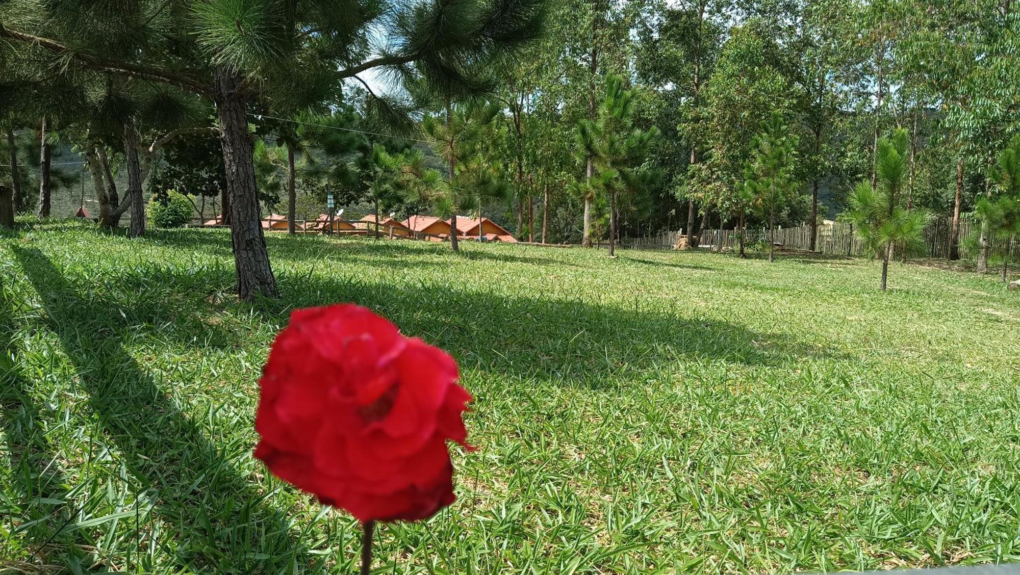 Chales E Camping Do Robinho 1 São Tomé das Letras Exterior foto